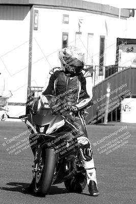 media/Apr-10-2022-SoCal Trackdays (Sun) [[f104b12566]]/Around the Pits/